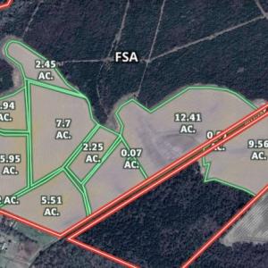 Photo #6 of 973 Mosely Road, Walstonburg, NC 204.2 acres