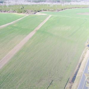 Photo #10 of 973 Mosely Road, Walstonburg, NC 204.2 acres
