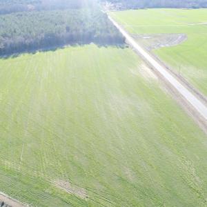 Photo #11 of 973 Mosely Road, Walstonburg, NC 204.2 acres