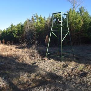 Photo #13 of 973 Mosely Road, Walstonburg, NC 204.2 acres