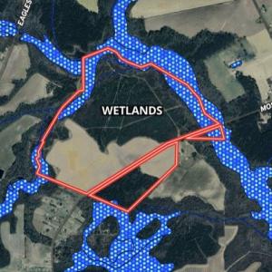 Photo #14 of 973 Mosely Road, Walstonburg, NC 204.2 acres