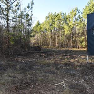 Photo #18 of 973 Mosely Road, Walstonburg, NC 204.2 acres