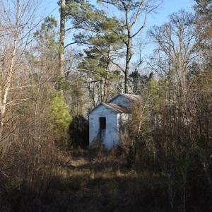 Photo #19 of 973 Mosely Road, Walstonburg, NC 204.2 acres