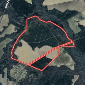 Photo #27 of 973 Mosely Road, Walstonburg, NC 204.2 acres