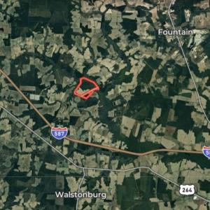 Photo #28 of 973 Mosely Road, Walstonburg, NC 204.2 acres