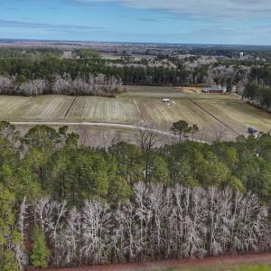 Photo #13 of 803 Sailhaven Drive, Oriental, NC 0.9 acres