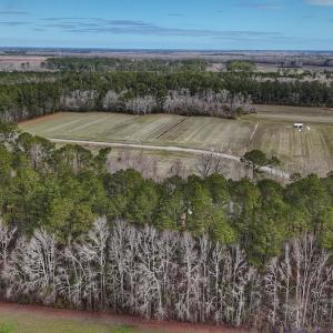 Photo #14 of 803 Sailhaven Drive, Oriental, NC 0.9 acres