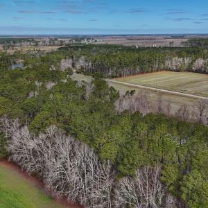 Photo #16 of 803 Sailhaven Drive, Oriental, NC 0.9 acres