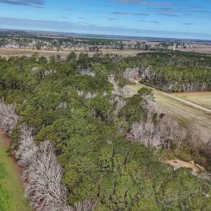 Photo #17 of 803 Sailhaven Drive, Oriental, NC 0.9 acres