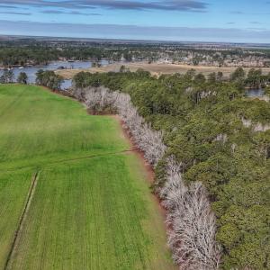Photo #18 of 803 Sailhaven Drive, Oriental, NC 0.9 acres
