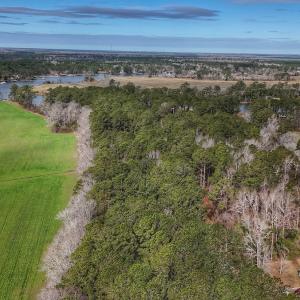 Photo #19 of 803 Sailhaven Drive, Oriental, NC 0.9 acres