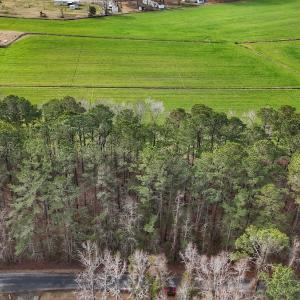 Photo #28 of 803 Sailhaven Drive, Oriental, NC 0.9 acres