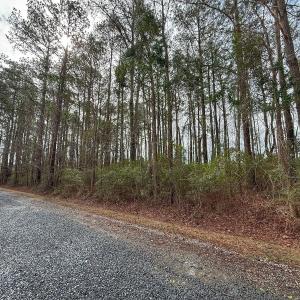 Photo #30 of 803 Sailhaven Drive, Oriental, NC 0.9 acres