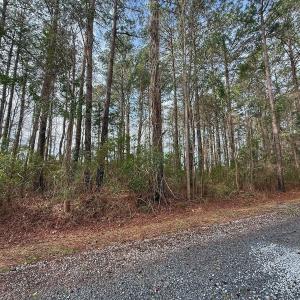 Photo #31 of 803 Sailhaven Drive, Oriental, NC 0.9 acres