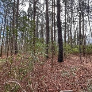 Photo #35 of 803 Sailhaven Drive, Oriental, NC 0.9 acres