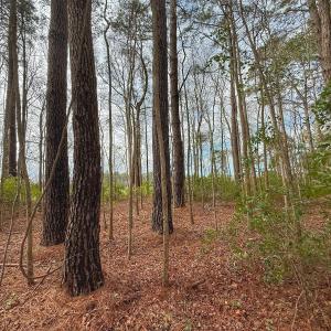 Photo #36 of 803 Sailhaven Drive, Oriental, NC 0.9 acres