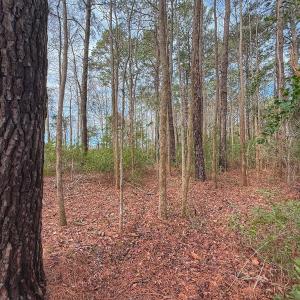 Photo #37 of 803 Sailhaven Drive, Oriental, NC 0.9 acres
