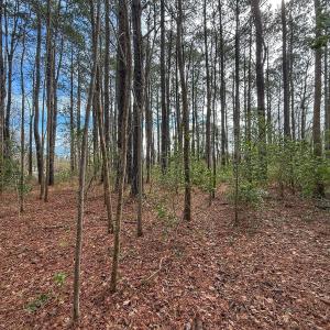 Photo #40 of 803 Sailhaven Drive, Oriental, NC 0.9 acres