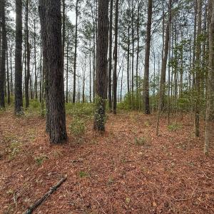 Photo #42 of 803 Sailhaven Drive, Oriental, NC 0.9 acres