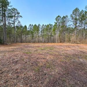 Photo #1 of Off Quarry Rd Skippers VA, Emporia, VA 8.8 acres
