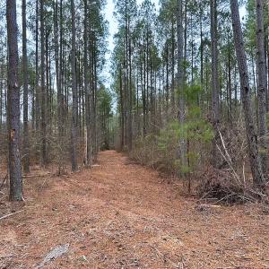 Photo #2 of Off Quarry Rd Skippers VA, Emporia, VA 8.8 acres