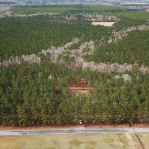 Photo #3 of Off Quarry Rd Skippers VA, Emporia, VA 8.8 acres