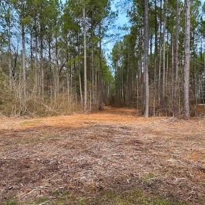 Photo #5 of Off Quarry Rd Skippers VA, Emporia, VA 8.8 acres