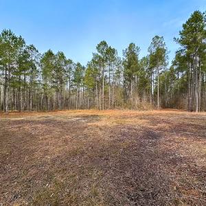 Photo #9 of Off Quarry Rd Skippers VA, Emporia, VA 8.8 acres