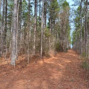 Photo #12 of Off Quarry Rd Skippers VA, Emporia, VA 8.8 acres