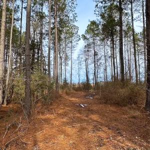 Photo #19 of Off Quarry Rd Skippers VA, Emporia, VA 8.8 acres