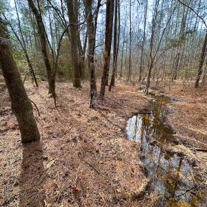 Photo #22 of Off Quarry Rd Skippers VA, Emporia, VA 8.8 acres