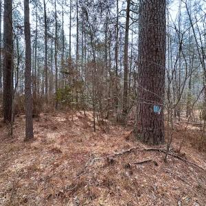 Photo #24 of Off Quarry Rd Skippers VA, Emporia, VA 8.8 acres