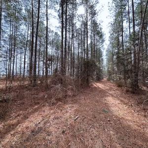 Photo #26 of Off Quarry Rd Skippers VA, Emporia, VA 8.8 acres