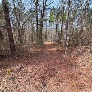 Photo #29 of Off Quarry Rd Skippers VA, Emporia, VA 8.8 acres