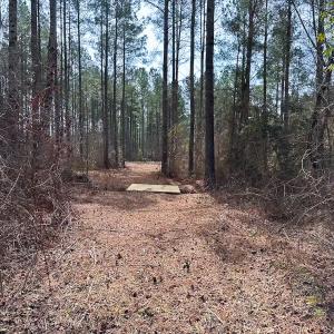 Photo #32 of Off Quarry Rd Skippers VA, Emporia, VA 8.8 acres