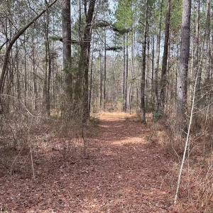 Photo #34 of Off Quarry Rd Skippers VA, Emporia, VA 8.8 acres