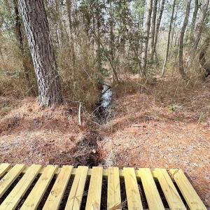 Photo #35 of Off Quarry Rd Skippers VA, Emporia, VA 8.8 acres