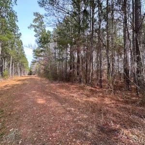 Photo #36 of Off Quarry Rd Skippers VA, Emporia, VA 8.8 acres