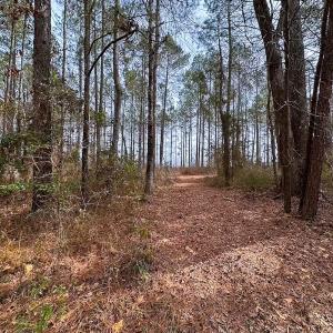 Photo #38 of Off Quarry Rd Skippers VA, Emporia, VA 8.8 acres