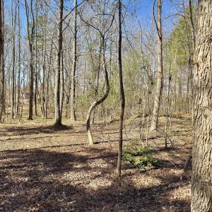 Photo #12 of SOLD property in Off Gene Road, New London, NC 0.9 acres