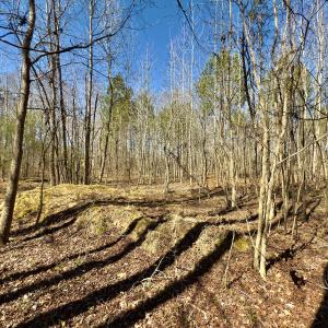 Photo #13 of SOLD property in Off Gene Road, New London, NC 0.9 acres