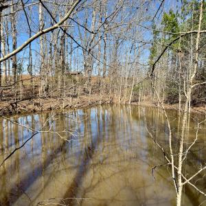 Photo #16 of SOLD property in Off Gene Road, New London, NC 0.9 acres