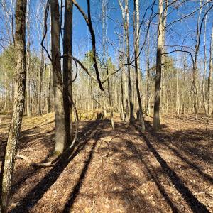 Photo #18 of SOLD property in Off Gene Road, New London, NC 0.9 acres