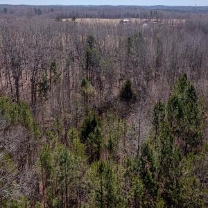 Photo #20 of SOLD property in Off Gene Road, New London, NC 0.9 acres