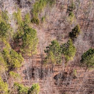 Photo #21 of SOLD property in Off Gene Road, New London, NC 0.9 acres