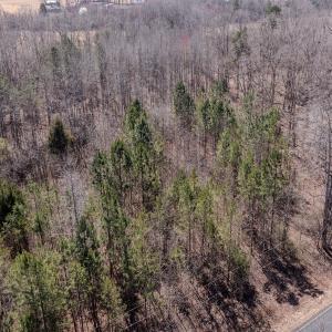 Photo #22 of SOLD property in Off Gene Road, New London, NC 0.9 acres