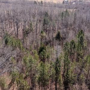 Photo #24 of SOLD property in Off Gene Road, New London, NC 0.9 acres
