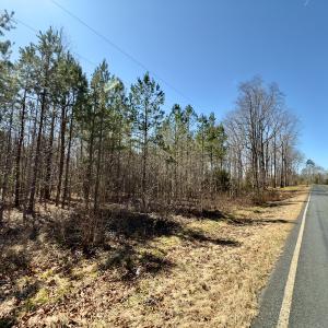 Photo #4 of SOLD property in Off Gene Road, New London, NC 0.9 acres