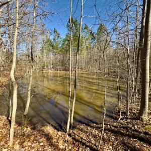 Photo #8 of SOLD property in Off Gene Road, New London, NC 0.9 acres