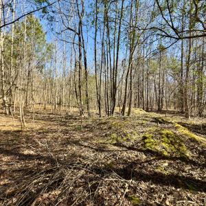 Photo #9 of SOLD property in Off Gene Road, New London, NC 0.9 acres